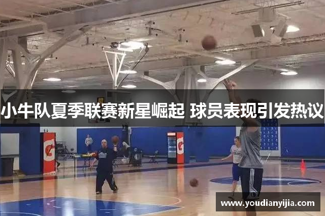 小牛队夏季联赛新星崛起 球员表现引发热议