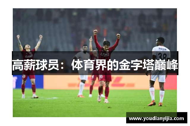高薪球员：体育界的金字塔巅峰